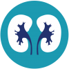 logo de rein